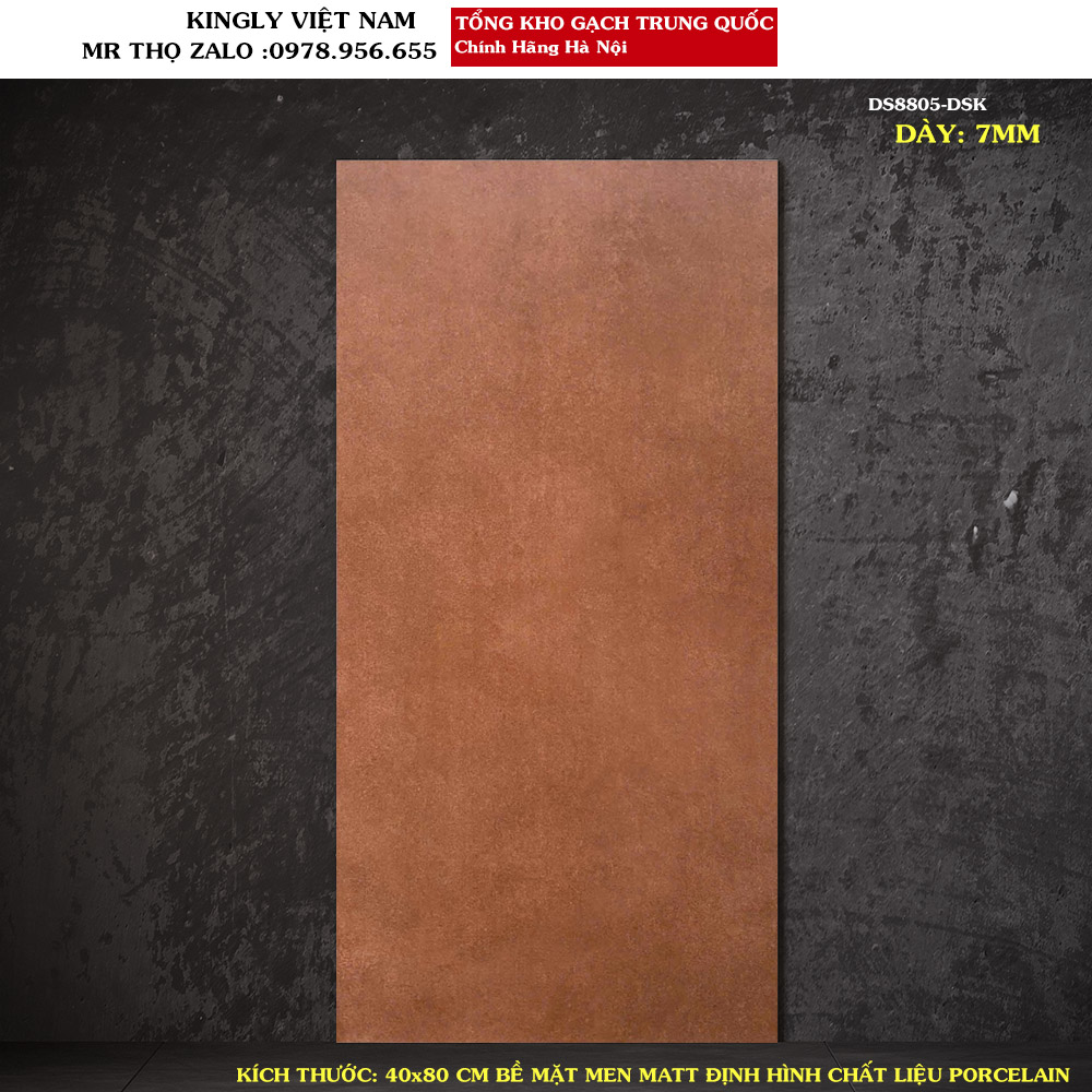 Gạch ốp tường màu nâu đất 40x80 Trung Quốc DS8805